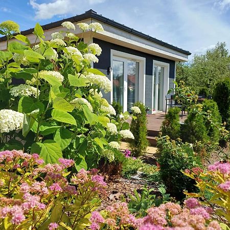 Family Garden House With Free Private Parking & Playground Villa Rīga Exterior foto